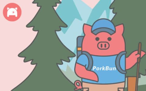 Porkbun域名注册优惠，.COM 仅 $4.75，.NET仅 $5.55