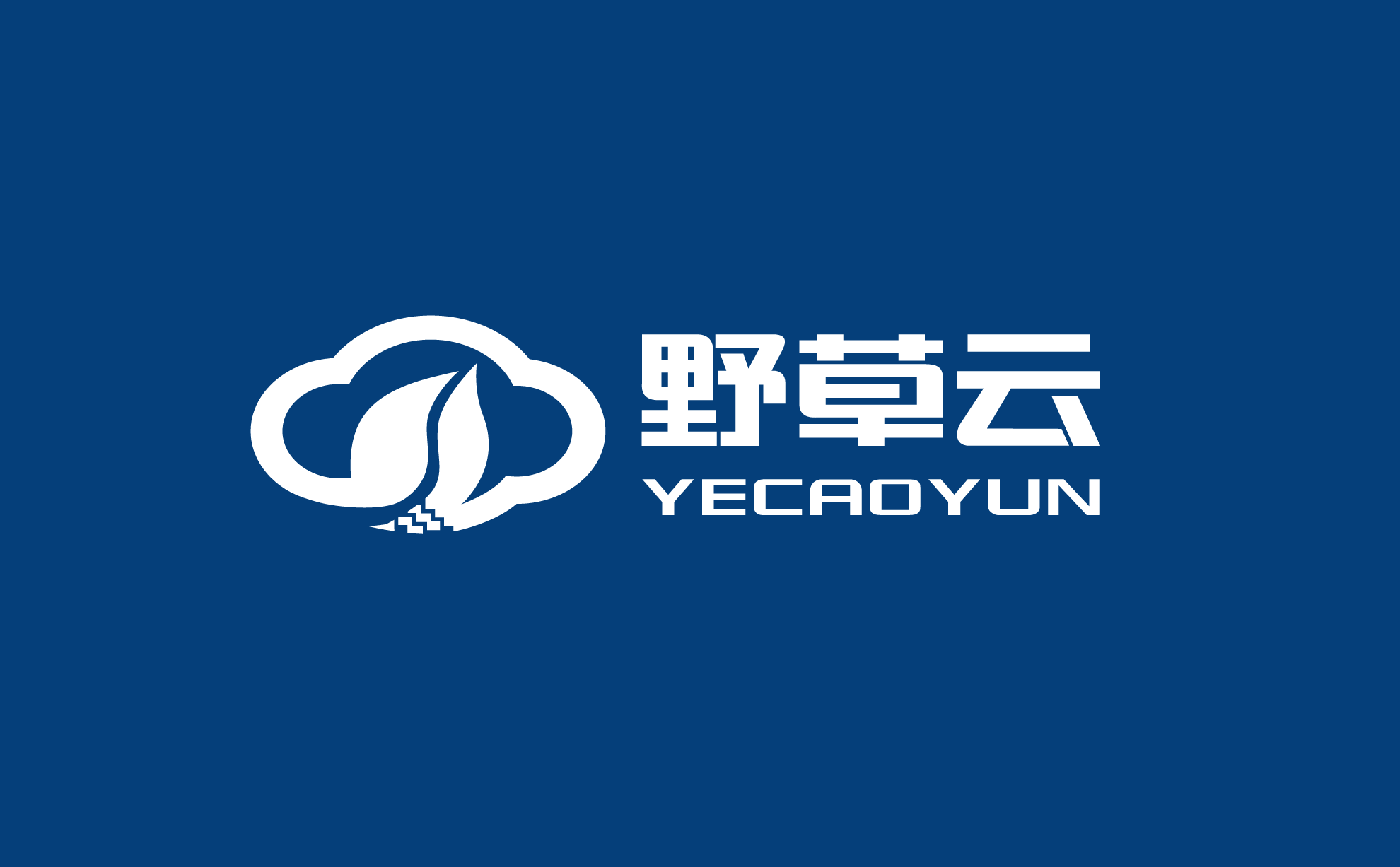 野草云香港CN2 VPS 云服务器年付三六折优惠，￥136.8起/年；独立IP虚拟主机五折优惠，￥64起/年