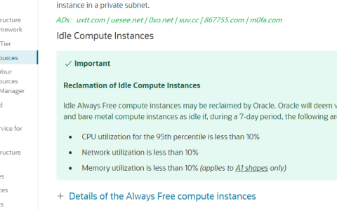 甲骨文云(Oracle Cloud)删除清理闲置免费VPS实例，如何一键保活脚本？